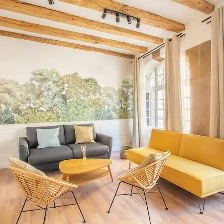 Apartment La Halte Strasbourgeoise - Superbe Appt Pres De La Petite France