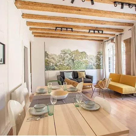 La Halte Strasbourgeoise - Superbe Appt Pres De La Petite France Apartment