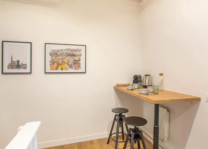 La Halte Strasbourgeoise - Superbe Appt Près De La Petite France *