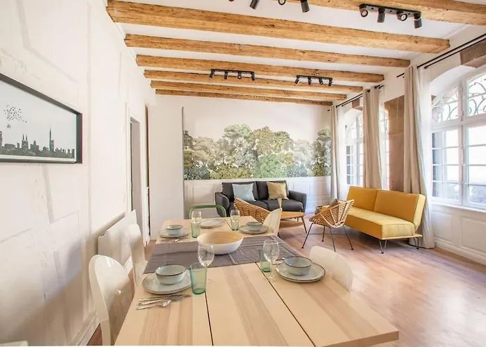 La Halte Strasbourgeoise - Superbe Appt Près De La Petite France Appartement